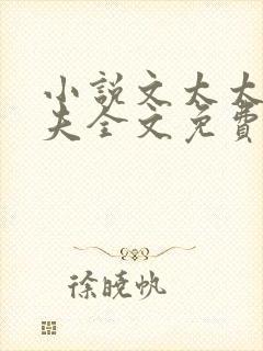 小说文太太的前夫全文免费阅读