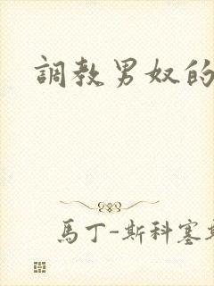 调教男奴的小说