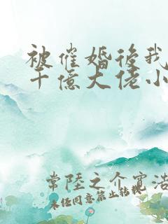 被催婚后我嫁给千亿大佬小说