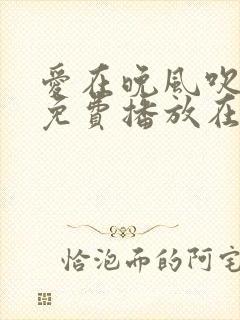 爱在晚风吹短剧免费播放在线观看