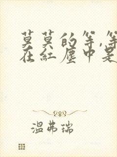 莫莫的等,等你在红尘中是什么歌名