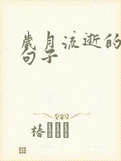 岁月流逝的唯美句子