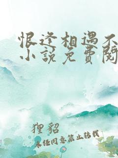 恨逢相遇不爱时小说免费阅读