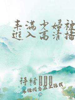 丰满少妇被猛烈进入高清播放,