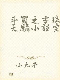 斗罗之灵珠神剑天麟小说完整版txt