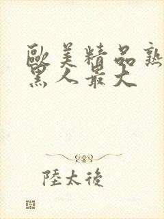 欧美精品熟妇乱黑人最大