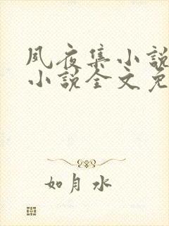 夙夜集小说原著小说全文免费阅读无弹窗