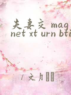 夫妻交 magnet xt urn btih