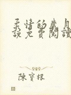 柔情的岁月里小说免费阅读