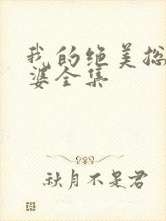 我的绝美总裁老婆全集