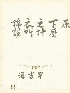 锦衣之下原著小说叫什么