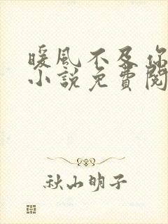 暖风不及你情深小说免费阅读全文无删减