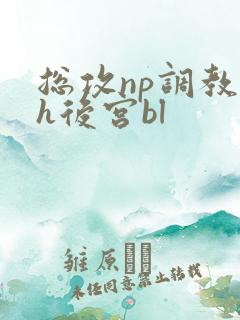 总攻np调教高h后宫bl