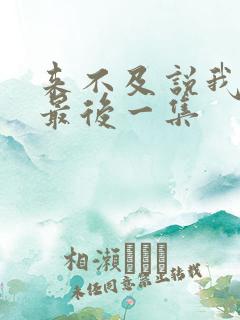 来不及说我爱你最后一集