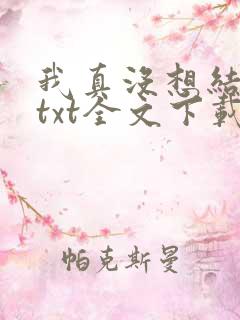 我真没想结婚啊txt全文下载