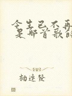 今生已不再是你 是哪首歌的歌词