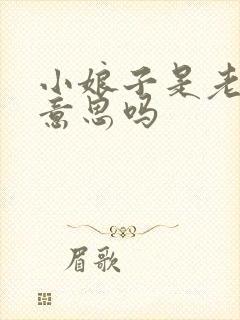 小娘子是老婆的意思吗