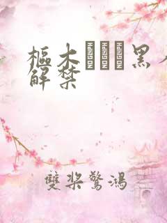 枢木あおい黑人解禁