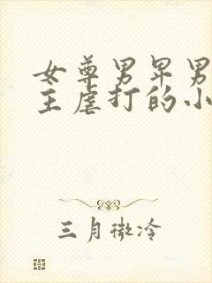 女尊男卑男被女主虐打的小说