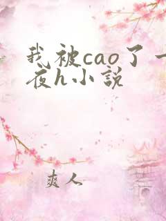 我被cao了一夜h小说