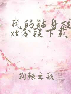 我的贴身校花txt分段下载