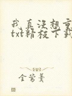 我真没想重生啊txt精校下载