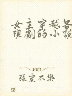 女主穿越各种影视剧的小说