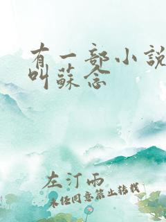 有一部小说女主叫苏念