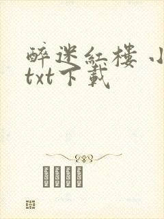 醉迷红楼 小说txt下载