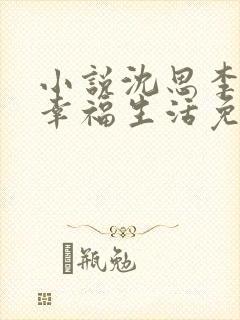 小说沈思李兵的幸福生活免费阅读