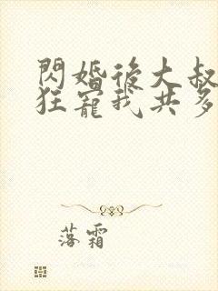 闪婚后大叔每天狂宠我共多章