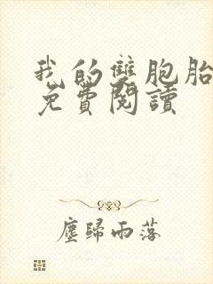 我的双胞胎老婆免费阅读