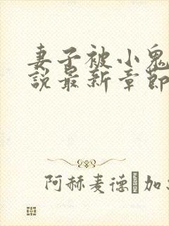 妻子被小鬼头小说最新章节内容