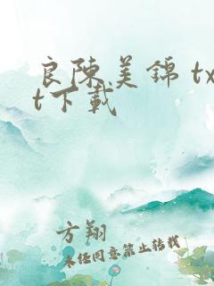 良陈美锦 txt下载