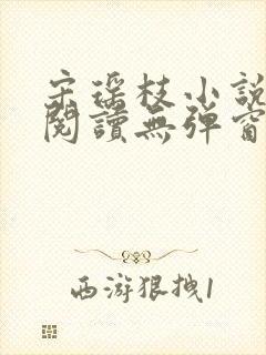 宋瑶枝小说免费阅读无弹窗最新章节