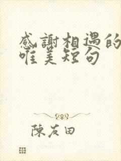 感谢相遇的句子唯美短句