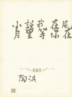 小说我在风花雪月里等你在线阅读