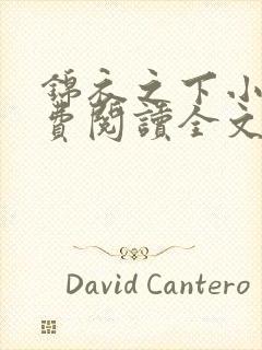 锦衣之下小说免费阅读全文无删减