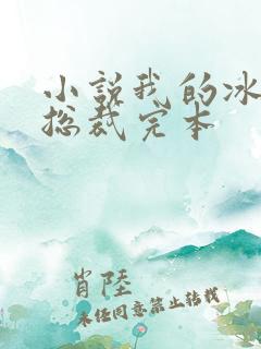 小说我的冰山女总裁完本