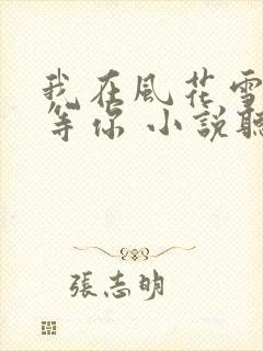 我在风花雪月里等你 小说听书