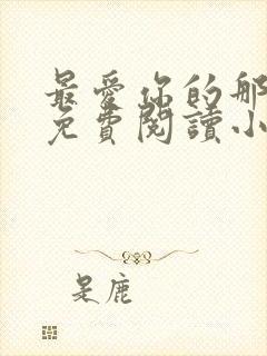 最爱你的那十年免费阅读小说