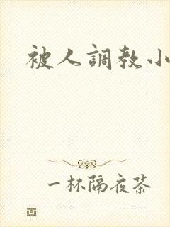 被人调教小说