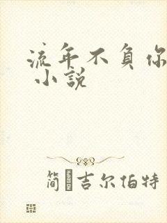 流年不负你情深 小说