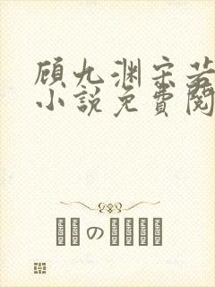 顾九渊宋若慈的小说免费阅读全文