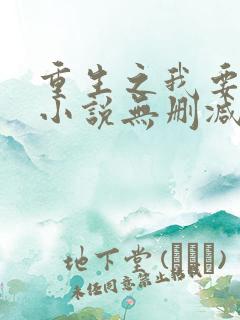 重生之我要冲浪小说无删减