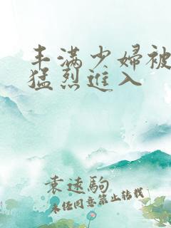 丰满少妇被粗大猛烈进入