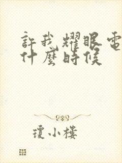 许我耀眼电视剧什么时候