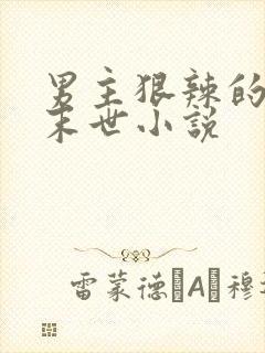 男主狠辣的重生末世小说