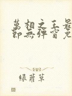 万相之王最新章节无弹窗免费阅读