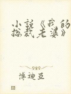 小说《我的冰山总裁老婆》